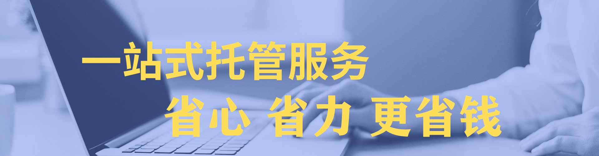 金溪sem竞价